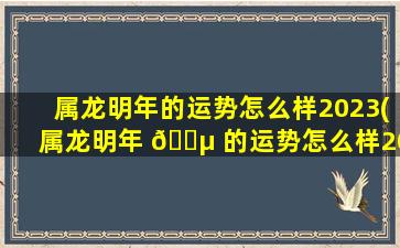 属龙明年的运势怎么样2023(属龙明年 🌵 的运势怎么样2023年结婚)